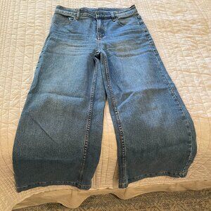 Gianni Bini Wide Leg Jean